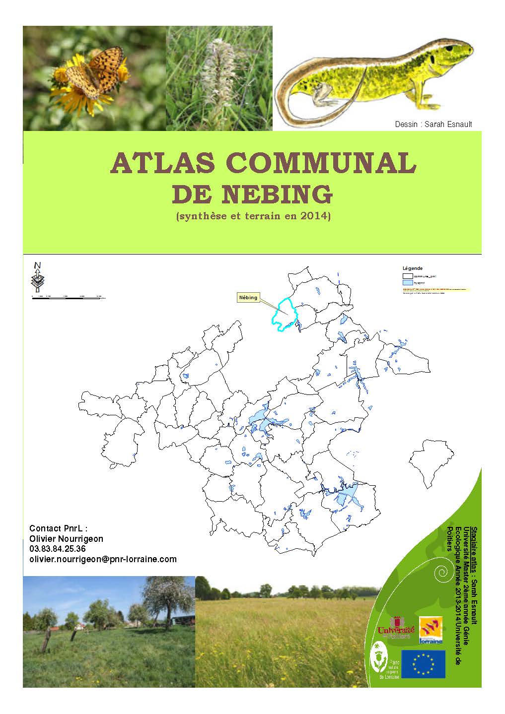 Pages de Nebing atlas